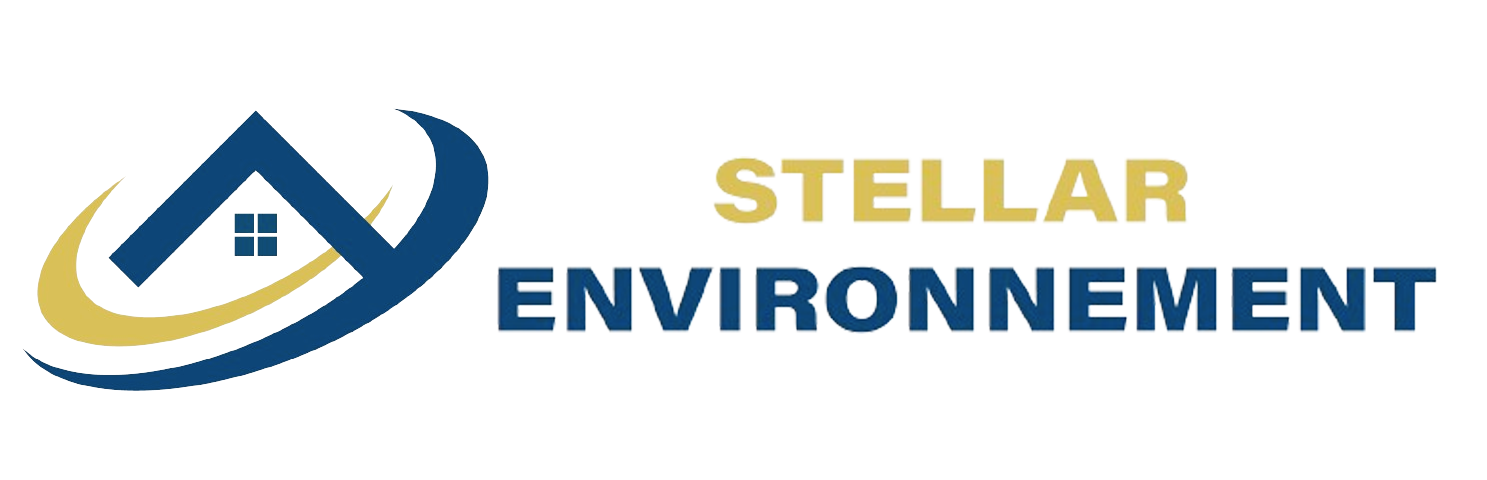 Stellar environnement