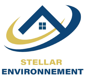 Stellar environnement